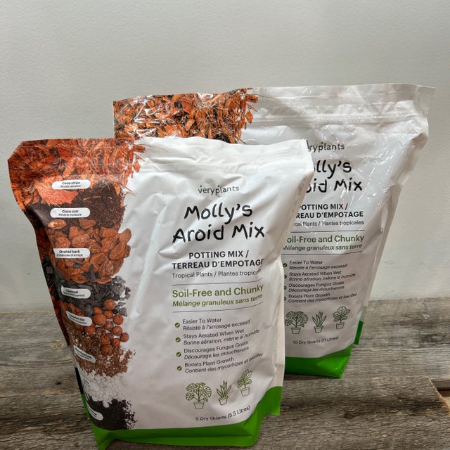 Soil and Growing Media | Lace and Leaves Studio